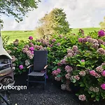 Dree Gevels Huus - Deichhaus Mit 2 Fuer 6 Personen - 350 M Zur Nordsee - Gartenstrand, Sauna & Kamin - E-ladestation