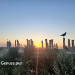 Dom wakacyjny Dree Gevels Huus - Deichhaus Mit 2 Fuer 6 Personen - 350 M Zur Nordsee - Gartenstrand, Sauna & Kamin - E-ladestation Harlesiel